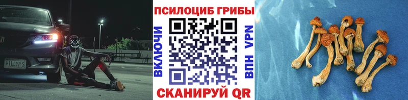Галлюциногенные грибы Cubensis  Арсеньев 